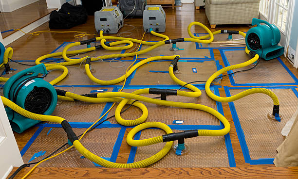 Professional Water Extraction technician working in Oregon, WI